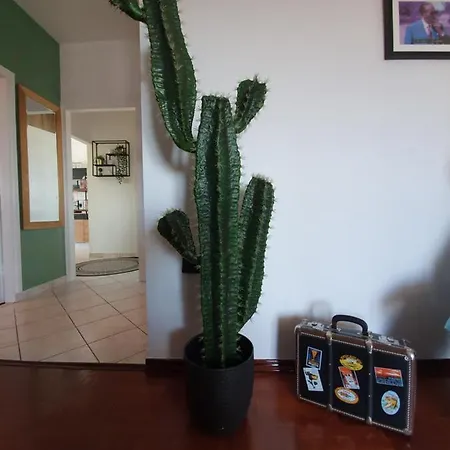 New! Gambinno Apartment, Centre Apartment