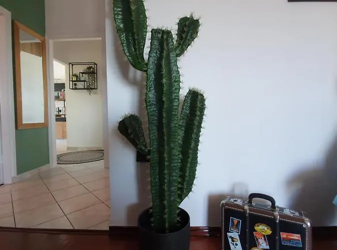 New! Gambinno Apartment, Centre דירה